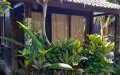 Туры в отель Jembrana Bali Homestay