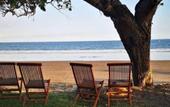 Туры в отель Jembrana Bali Homestay