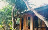 Туры в отель Jembrana Bali Homestay