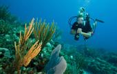 Туры в отель Messonghi Beach Holiday Resort