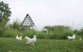 Туры в отель Abhayagiri - Sumberwatu Heritage Resort