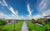 Туры в отель Abhayagiri - Sumberwatu Heritage Resort