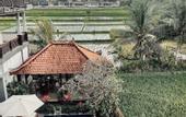 Туры в отель Villa Silas