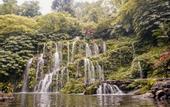 Туры в отель Villa Kayu Amertha