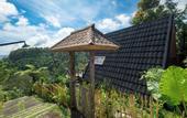 Туры в отель Villa Kayu Amertha
