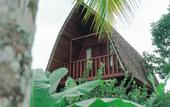 Туры в отель Umadesa Villa Tegallalang