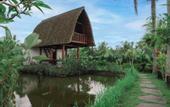 Туры в отель Umadesa Villa Tegallalang