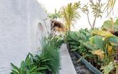 Туры в отель Dupadi Villa Jogja with Privatepool