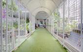 Туры в отель Hotel Dahlia By ARBA