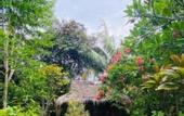 Туры в отель Villa Kamila Senggigi By Villaloka