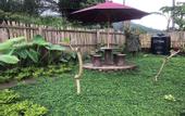 Туры в отель Munduk Terrace