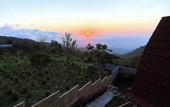 Туры в отель Munduk Terrace