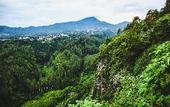 Туры в отель Villa Keluarga Thea Home Bandung