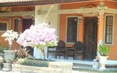 Туры в отель Hotel Lestari Gilimanuk
