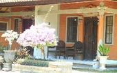 Туры в отель Hotel Lestari Gilimanuk