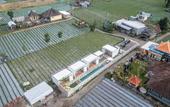 Туры в отель Heaven House Kintamani