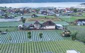 Туры в отель Heaven House Kintamani