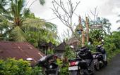 Туры в отель Ayo Hill Villa