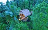 Туры в отель Ayo Hill Villa