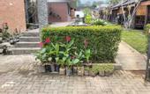 Туры в отель Oase Resort Bandung