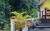 Туры в отель Hanaka Riverside Ubud