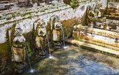 Туры в отель Hanaka Riverside Ubud