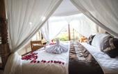 Туры в отель Serenity Villa & Spa