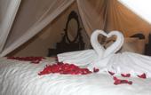 Туры в отель Serenity Villa & Spa