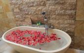 Туры в отель Serenity Villa & Spa