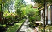 Туры в отель Serenity Villa & Spa