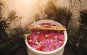 Туры в отель LaChuba Villas Canggu