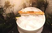 Туры в отель LaChuba Villas Canggu