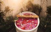 Туры в отель LaChuba Villas Canggu