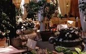 Туры в отель Metropole
