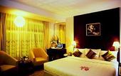 Туры в отель Metropole