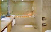 Туры в отель Radisson Mumbai Goregaon