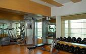 Туры в отель Radisson Mumbai Goregaon