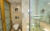 Туры в отель Radisson Mumbai Goregaon