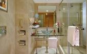 Туры в отель Radisson Mumbai Goregaon