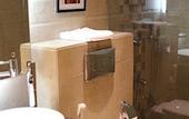 Туры в отель Savoy Suites Manesar