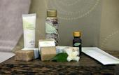 Туры в отель The Westin Sohna Resort & Spa