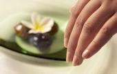 Туры в отель The Westin Sohna Resort & Spa