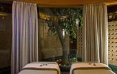 Туры в отель The Westin Sohna Resort & Spa
