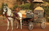 Туры в отель The Raj Palace