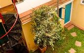 Туры в отель Casa Cottage