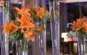Туры в отель Hyatt Hyderabad Gachibowli