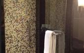 Туры в отель Hyatt Hyderabad Gachibowli