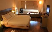 Туры в отель Hotel Sitara
