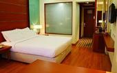 Туры в отель Hotel Sitara