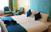 Туры в отель Hotel Sitara
